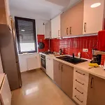Solid 387 Mamaia
