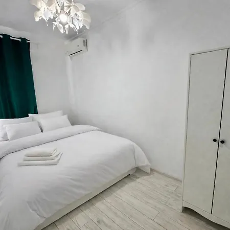 Solid 387 Mamaia